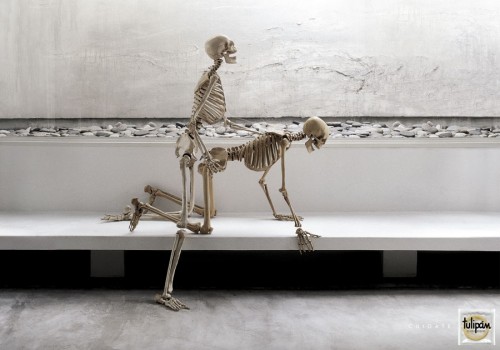 Esqueletos perrito