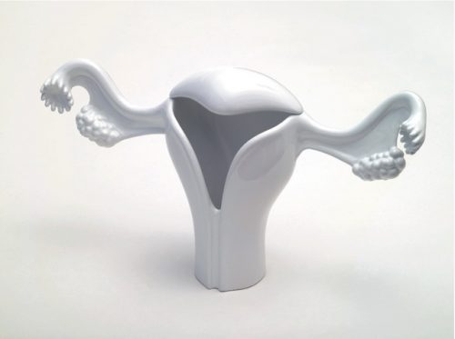 Uterus Vase