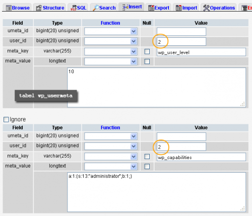 WordPress Create Usermeta Value