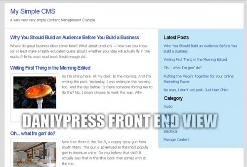 DaniyPress Frontend View