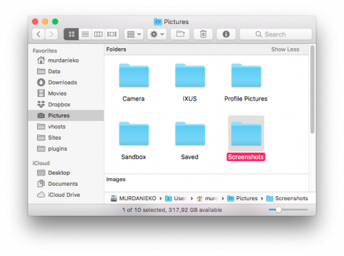 Create Screenshots Folder